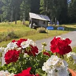 Гостевой дом Garni Haus Sonnblick Бад Кляйнкирххайм