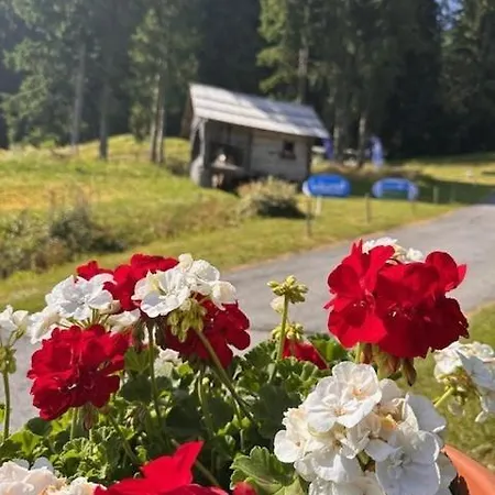 Πανσιόν Haus Sonnblick Bad Kleinkirchheim