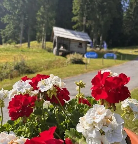 Guest house Garni Haus Sonnblick Bad Kleinkirchheim